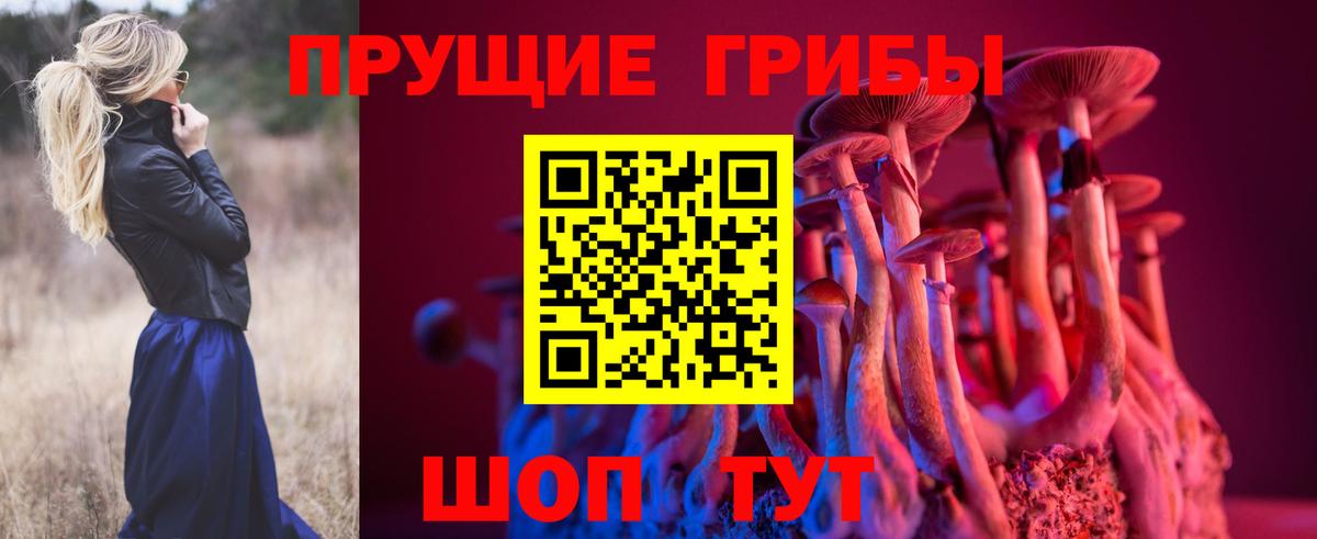 Галлюциногенные грибы Cubensis  Вход с VPN  хочу наркоту  Галлюциногенные грибы Psilocybe  Киреевск 